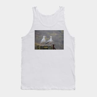 Two Seagulls sitting on a fence Tank Top